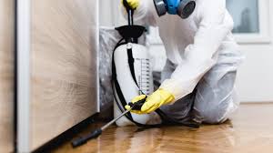 Top Reasons to Hire a Professional Pest Control Service